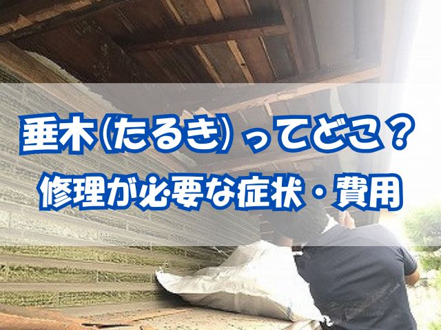 屋根内側の垂木
