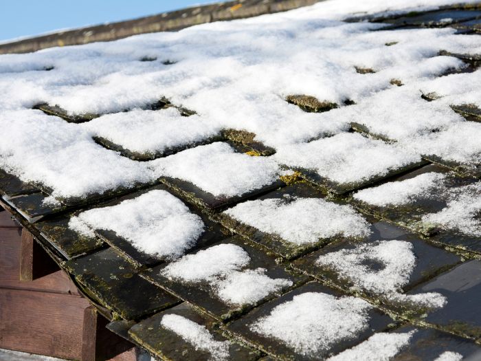 雪による被害（雪災）